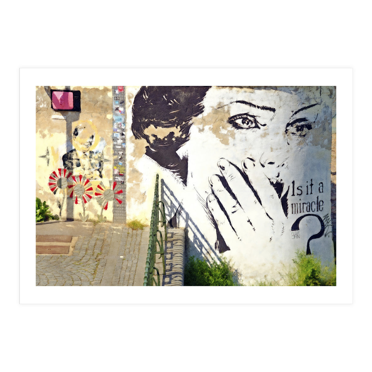 Beauty of decay (Print Only)