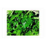 More Distinguishing Marks (Print Only) thumbnail