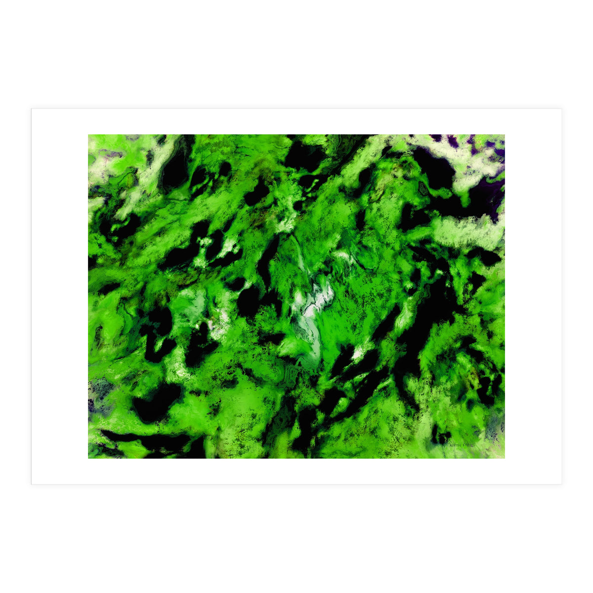 More Distinguishing Marks (Print Only)