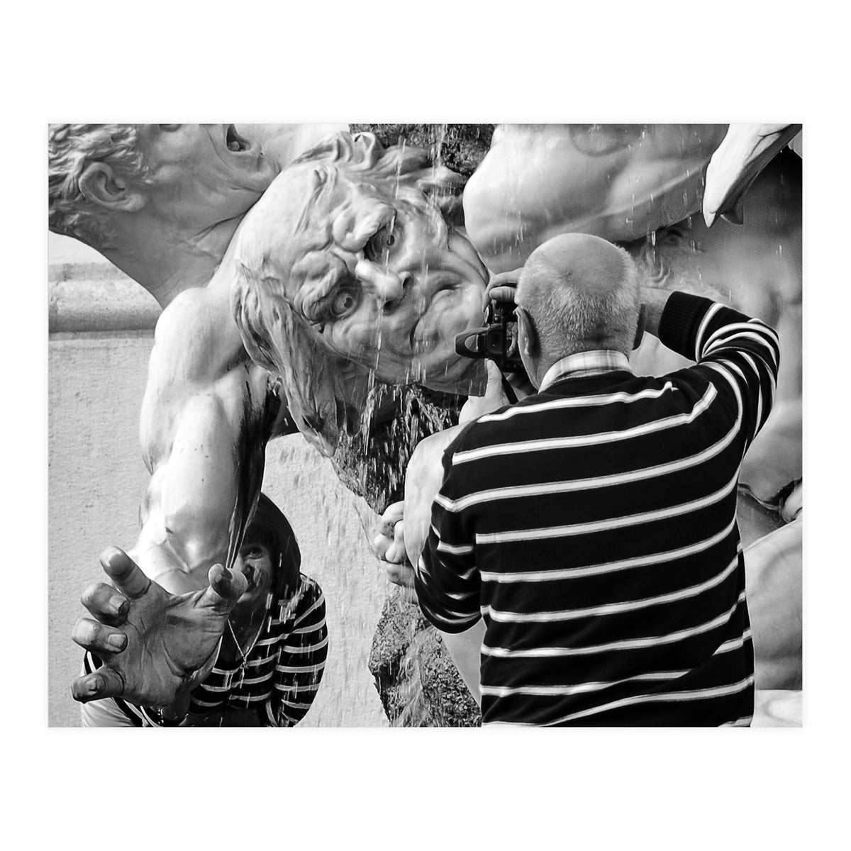 Snapshot (Print Only)