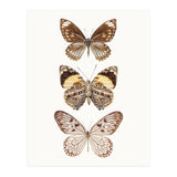 Cc Butterflies 06 (Print Only) thumbnail