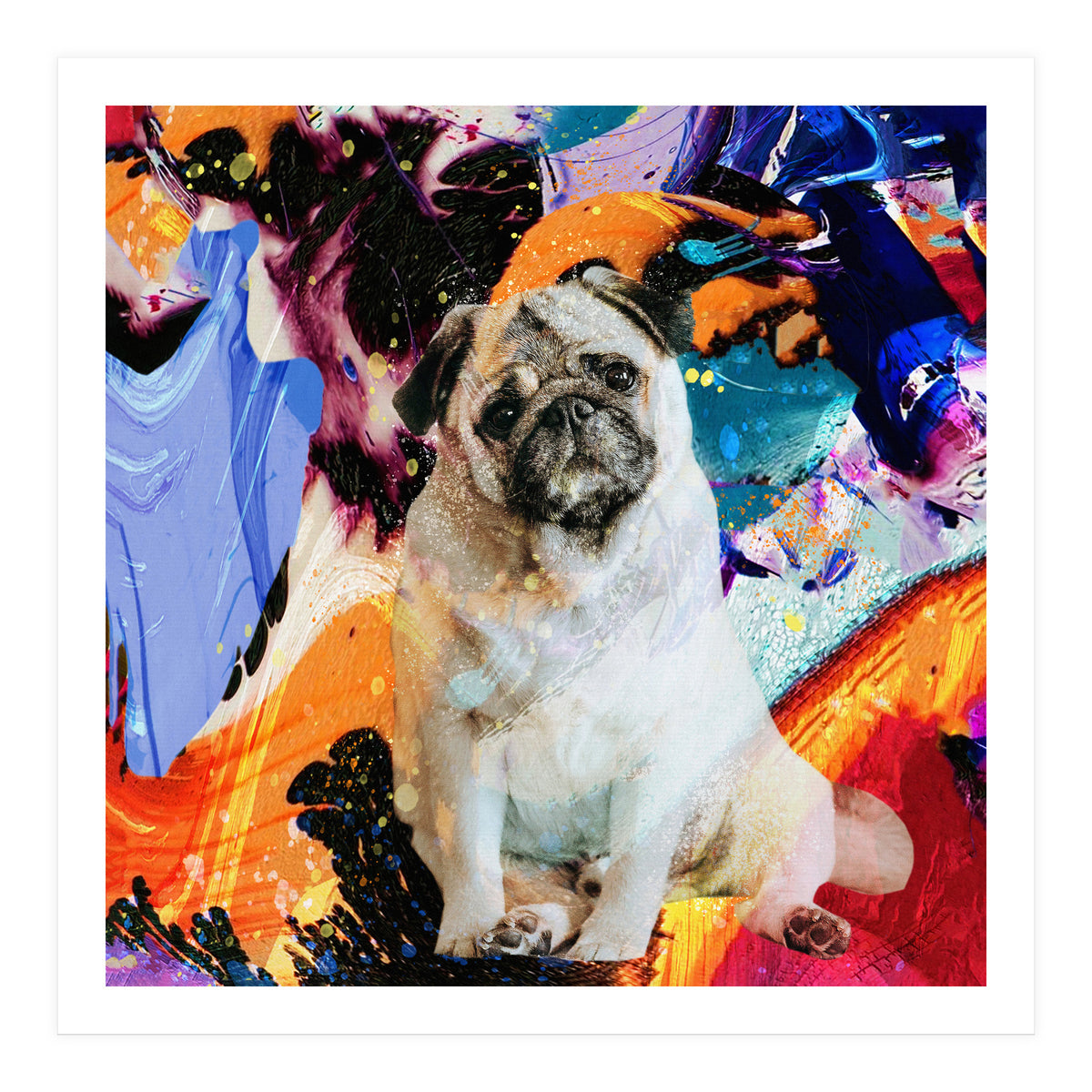 Zycko Color Dog 2 (Print Only)