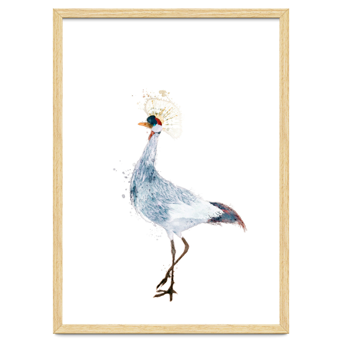 Watercolor Grey Crowned Crane