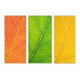 Autumn Leaves (Print Only) thumbnail