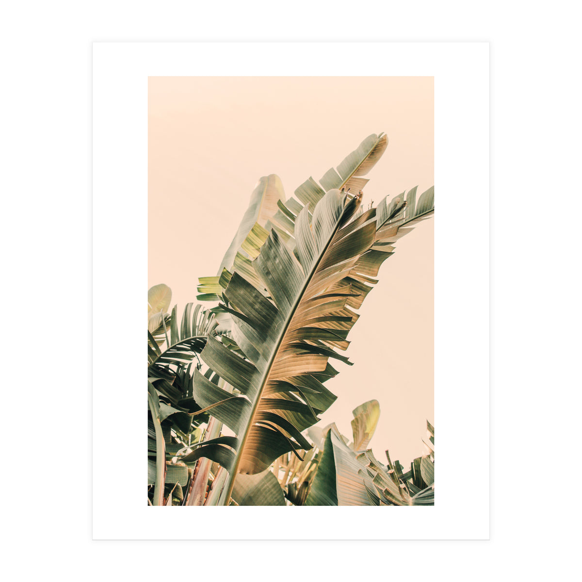 Growing Green Alicia Bock (Print Only)