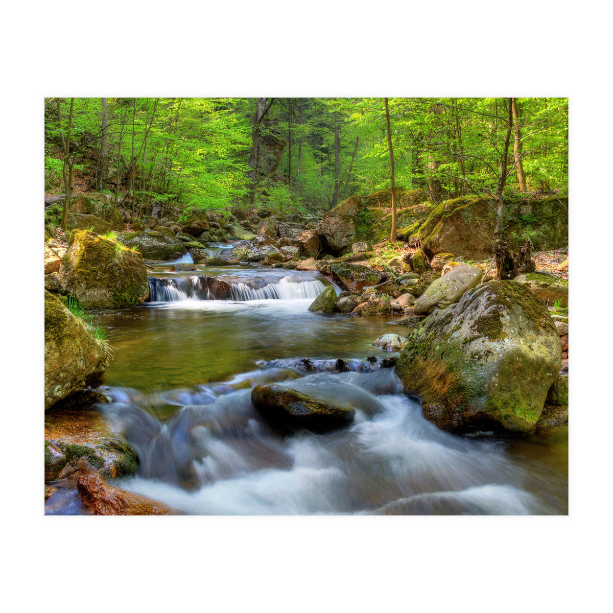 Spring At Harz Moutain (Print Only)