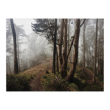 Mt. Davidson I (Print Only) thumbnail