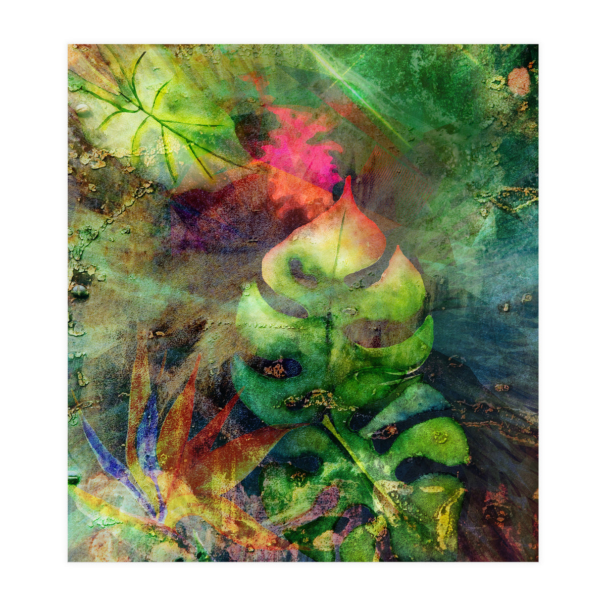 Maelstrom (Print Only)