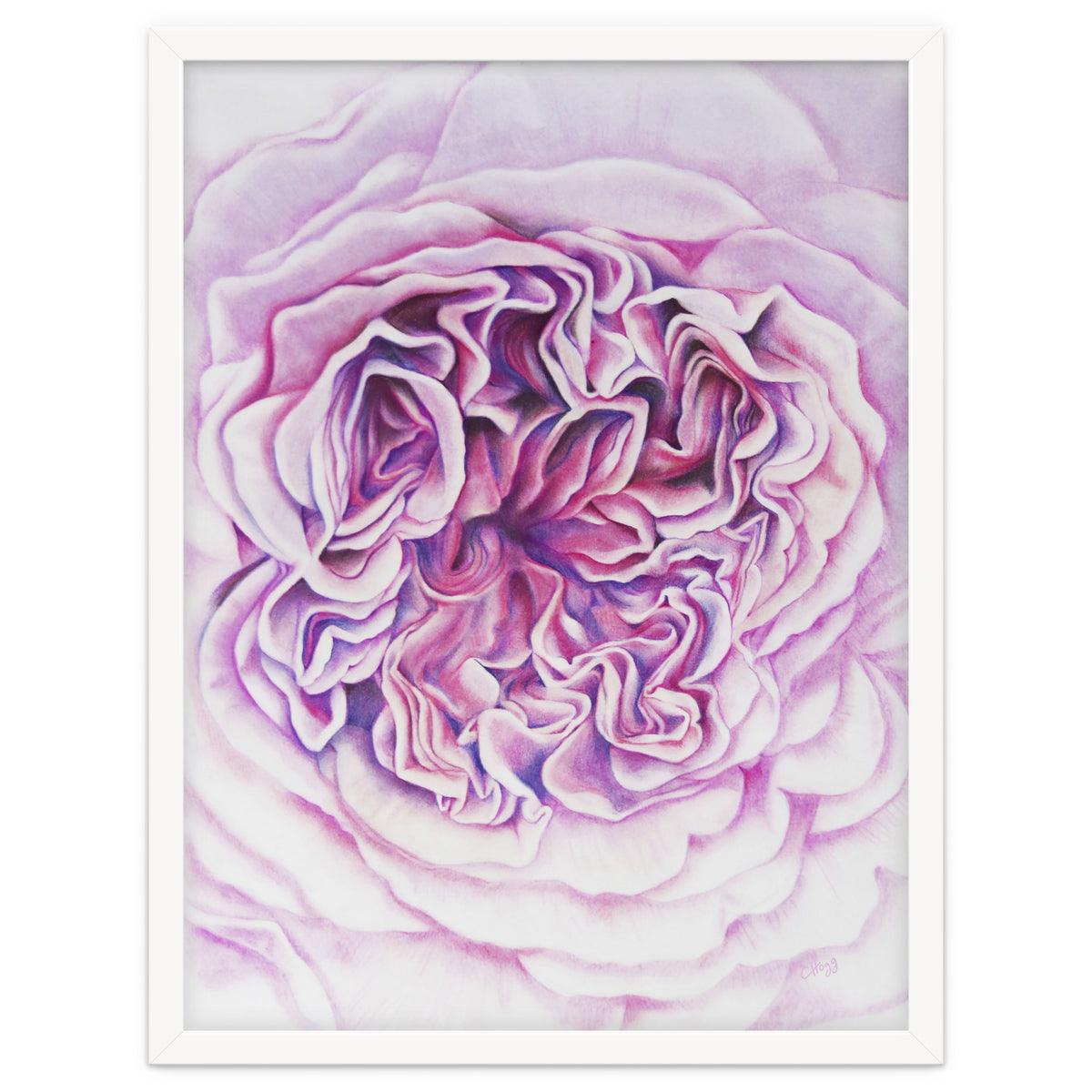 A Rose Is A Rose Std