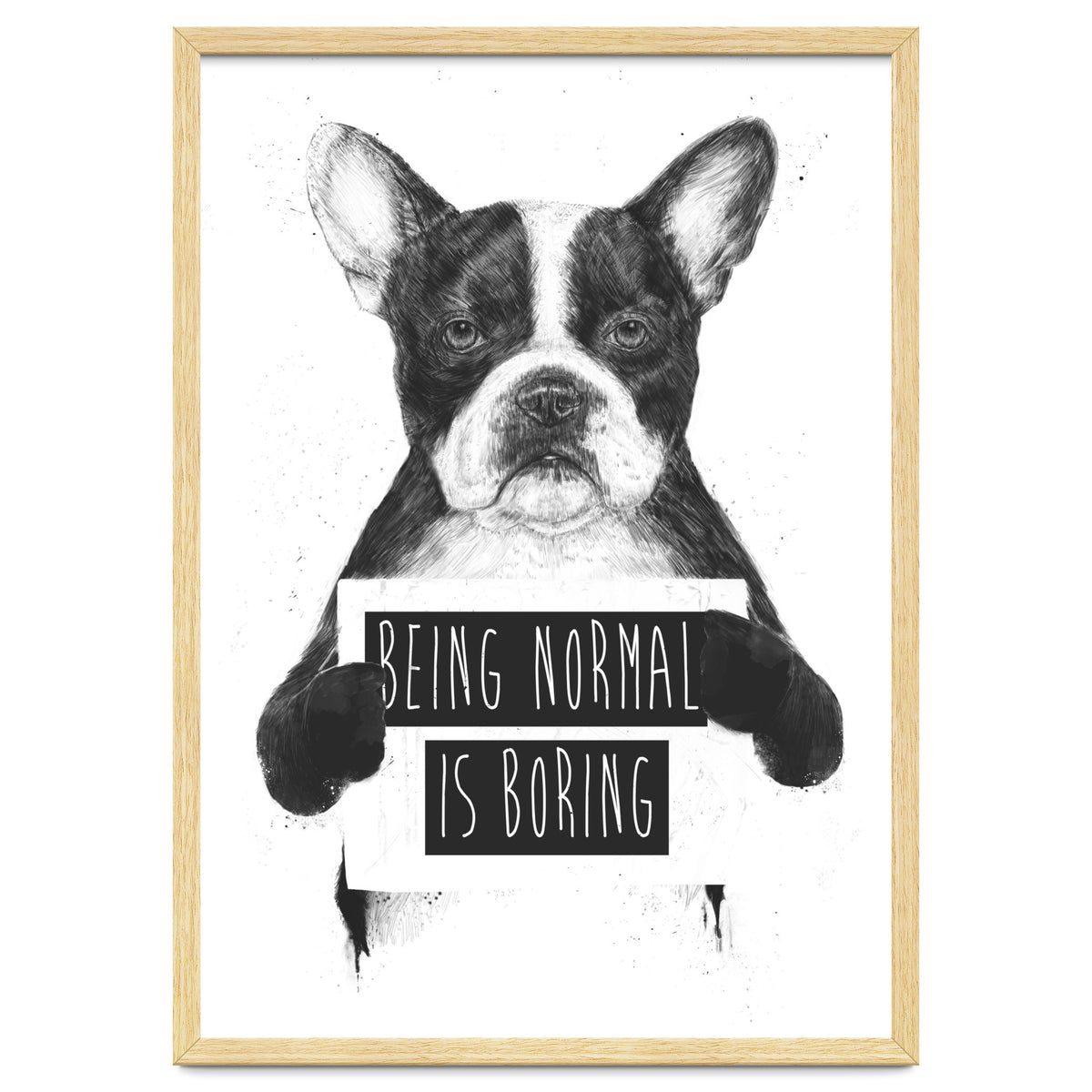 Being Normal Is Boring