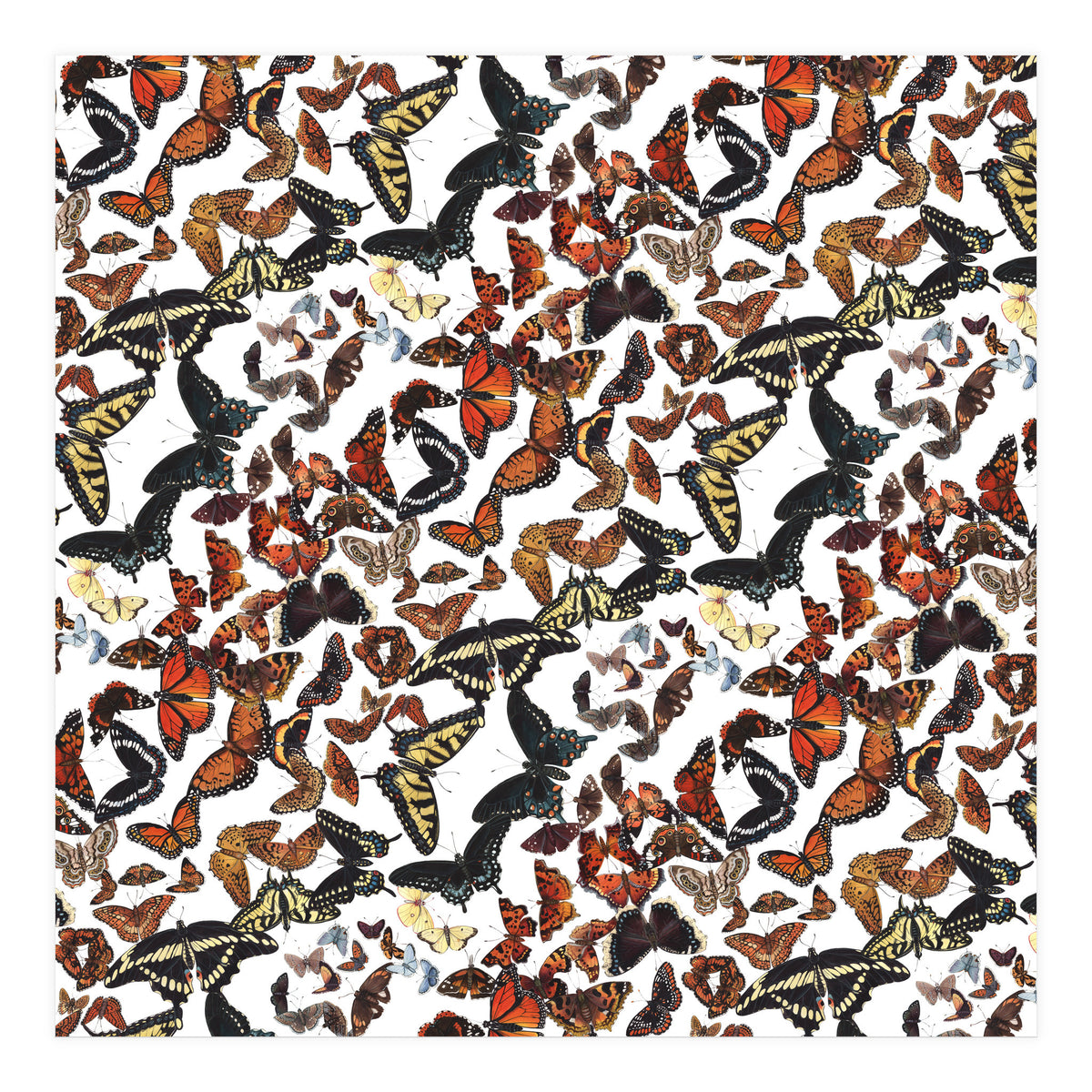 Maine Butterflies Pattern (Print Only)