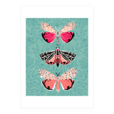 Lepidoptery Study No. 6 (Print Only) thumbnail