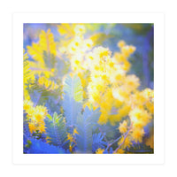 Yellow shiny flowers  (Print Only)