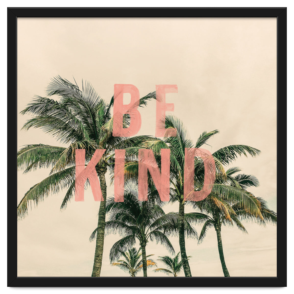 Be Kind Palm