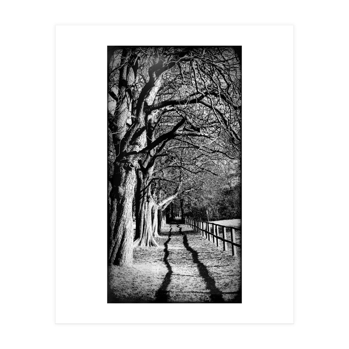 Light and shadows (Print Only)