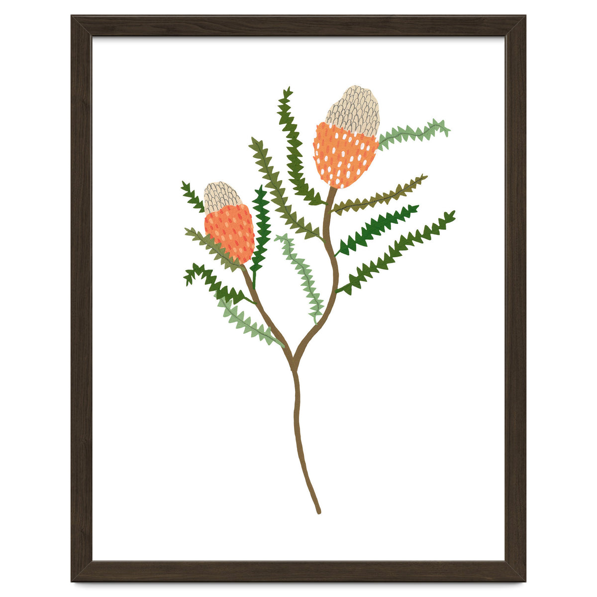 Banksia Flowers