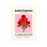 Sagittarius Birth Flower Carnation  (Print Only) thumbnail