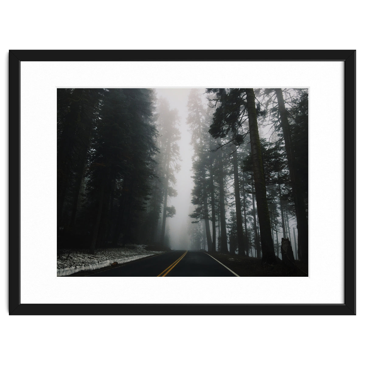 Foggy Yosemite
