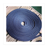 Blue rope coil (Print Only) thumbnail