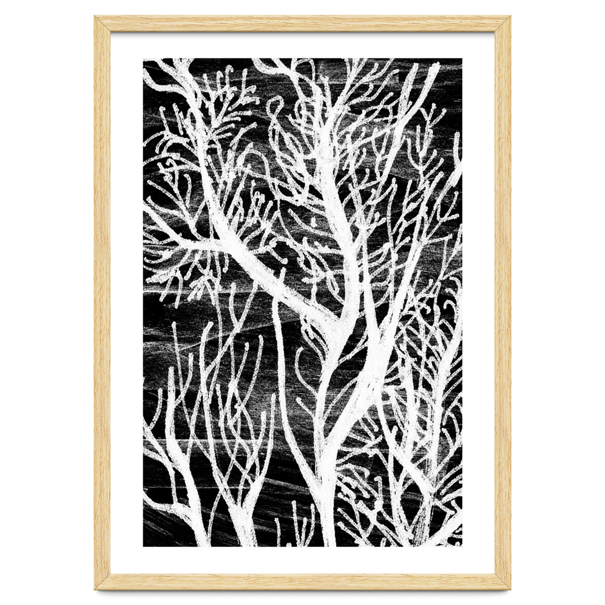 Desert Colours Collection 5