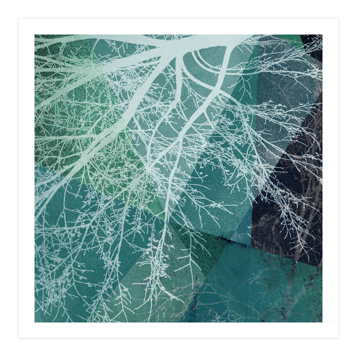 P19-E3 Trees and Triangles (Print Only)