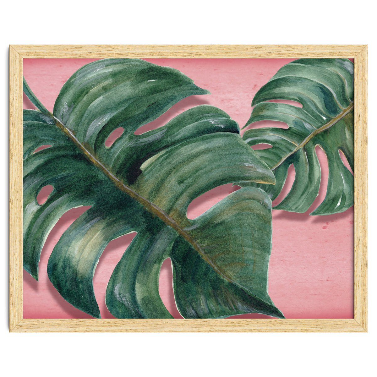 Monstera Leaf