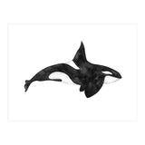 Orca (Print Only) thumbnail