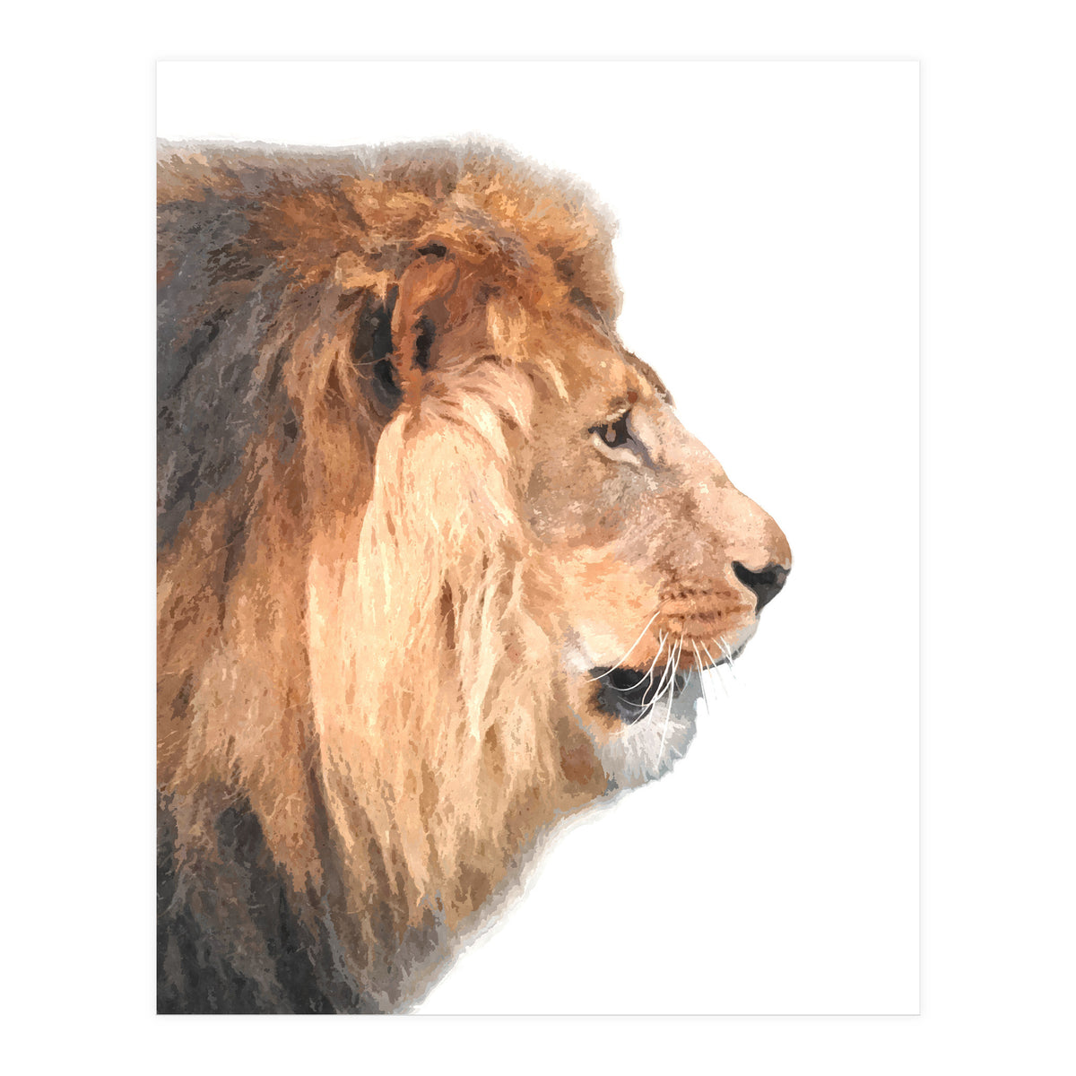 Lion Profile (Print Only)