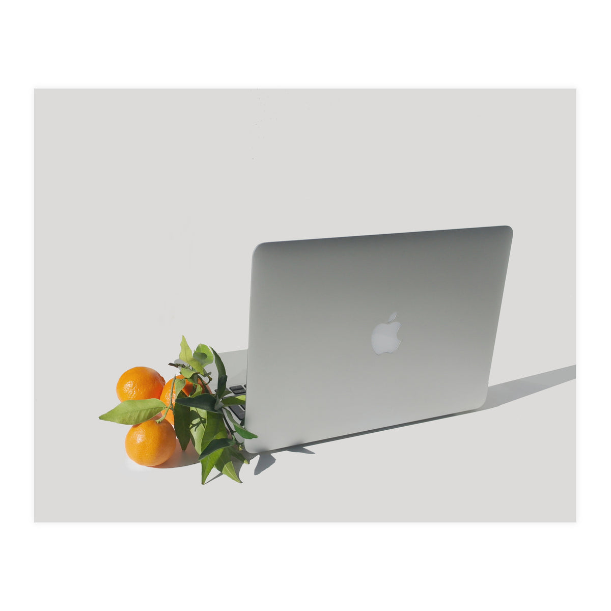 Fruit Salad (Print Only)