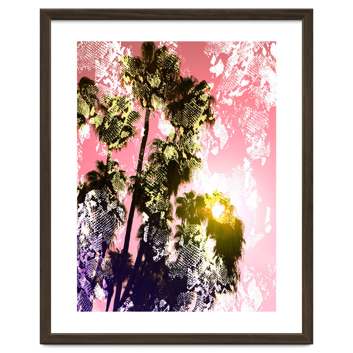 Snake sunset in paradise