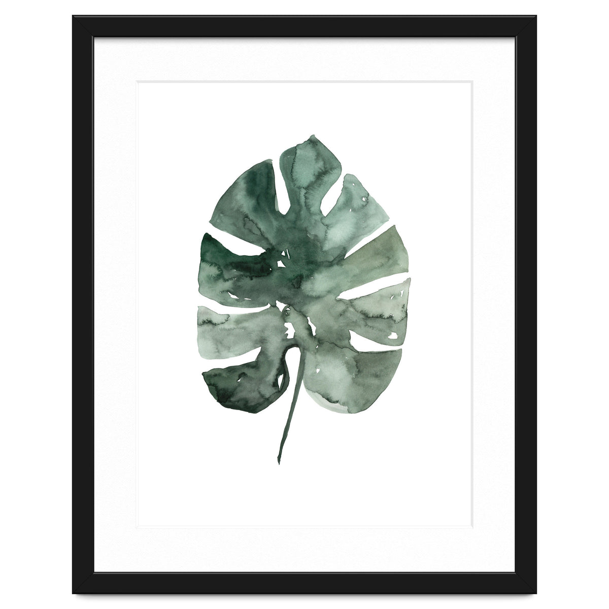 Botanical Illustration Monstera Leaf