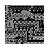 BLACK AND WHITE EXOTIC (Print Only) thumbnail