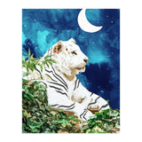 Moonbath (Print Only) thumbnail
