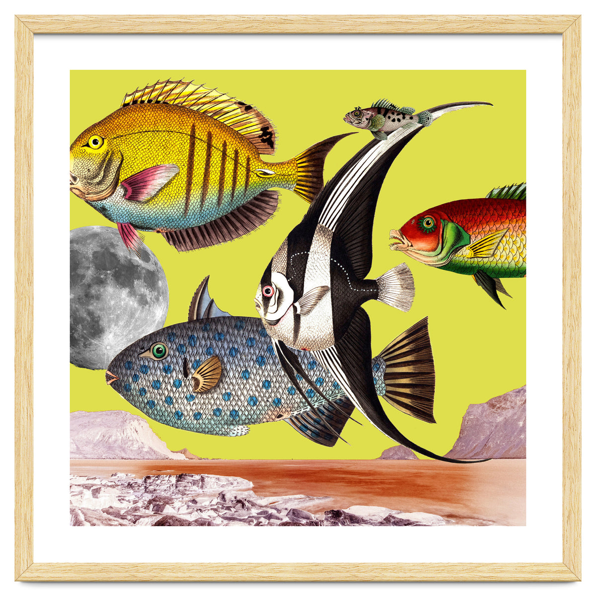 Plenty Of Fish In The Sea Yellow