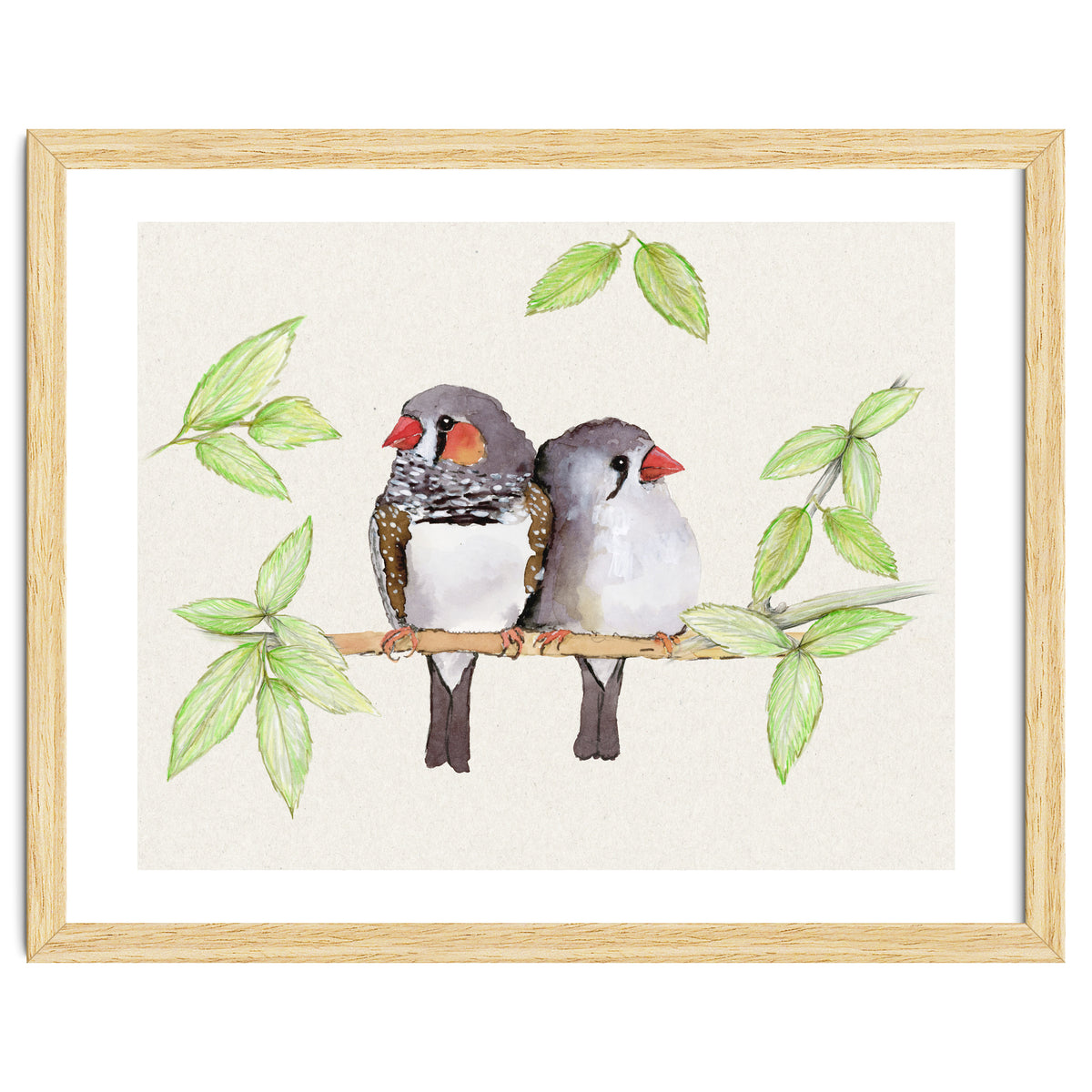 Sweet couple of zebra finches