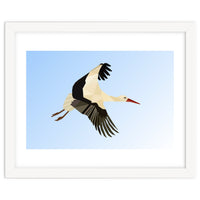 White Stork Bird Low Poly Art