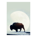 Wild West (Print Only) thumbnail