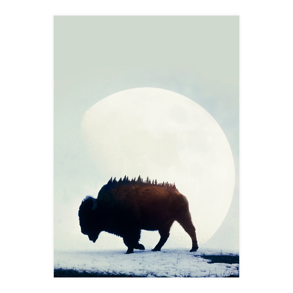 Wild West (Print Only)