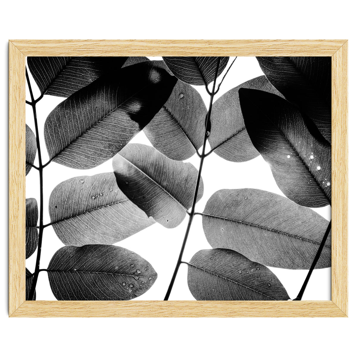 Experiments with Leaves II