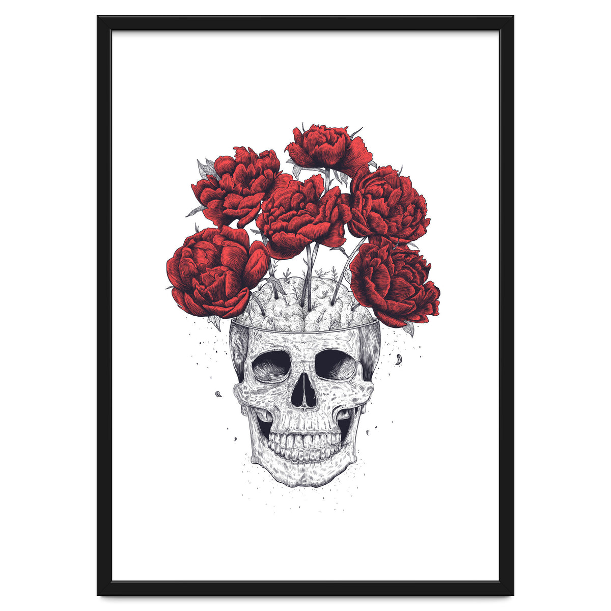 Skull With Peonies