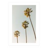 California (Print Only) thumbnail