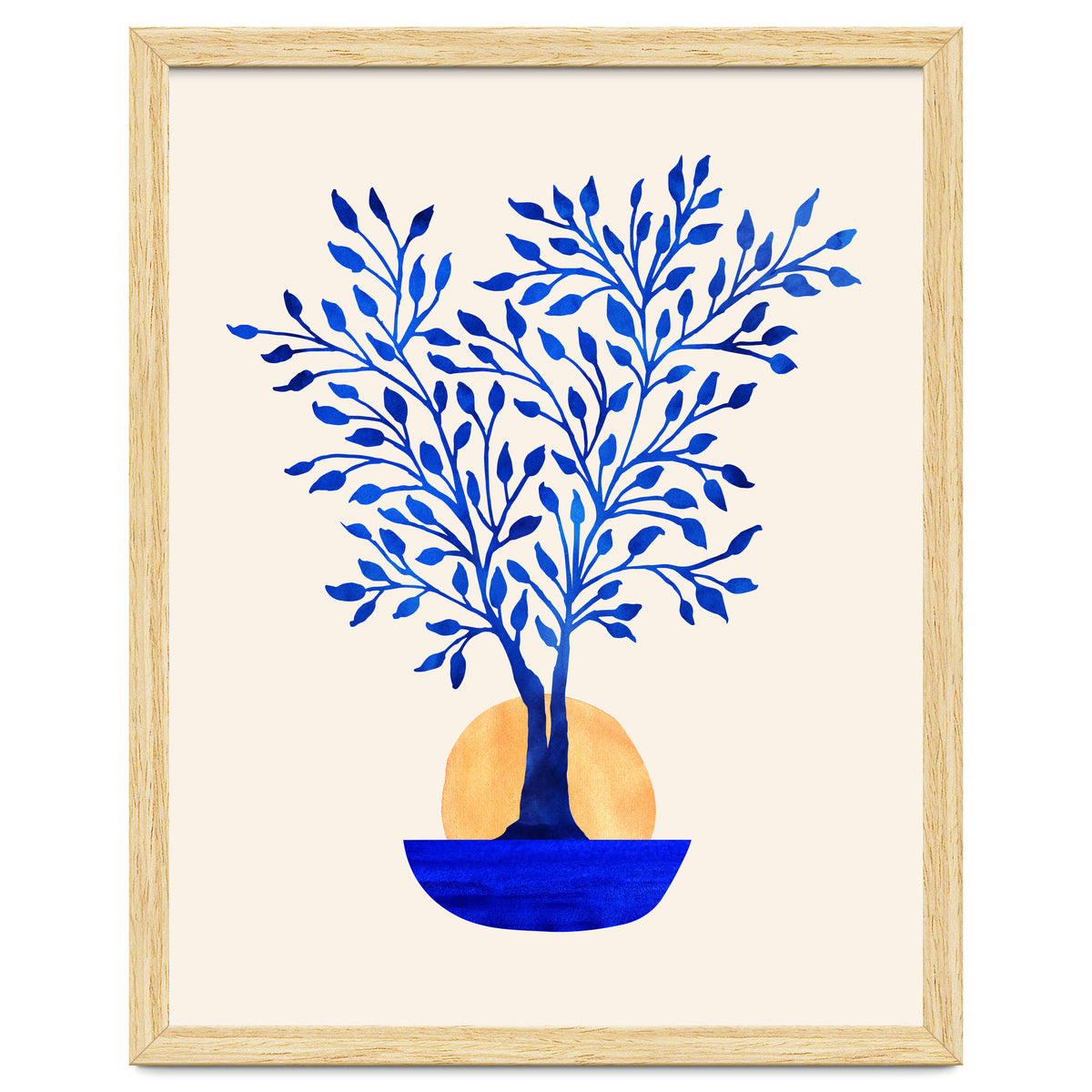 Indigo Ficus Sunrise