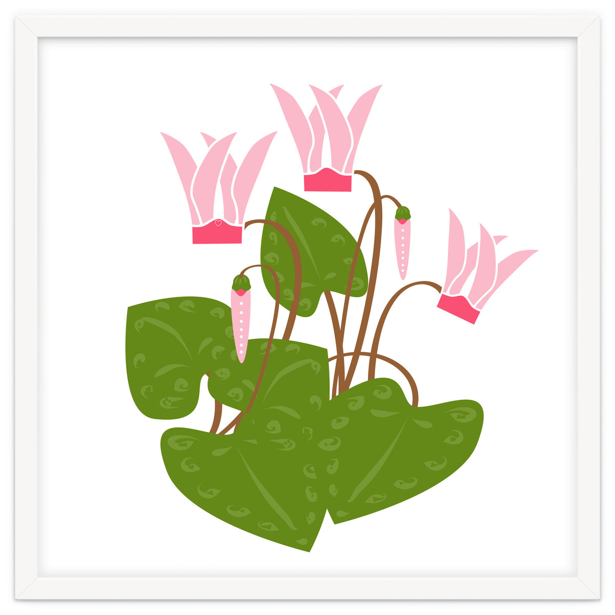 Cascading Cyclamen