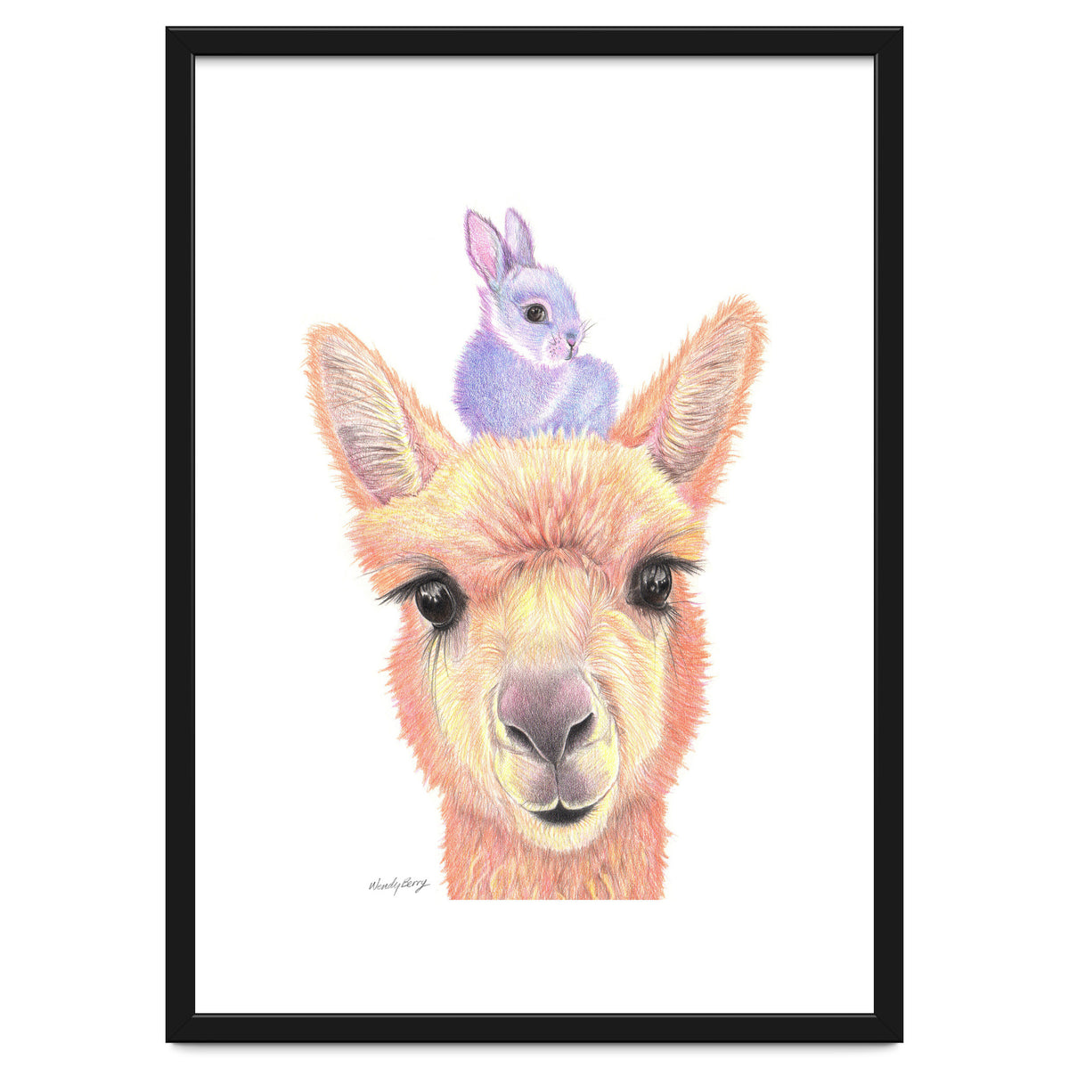 Alpaca and Bunny