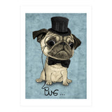 Pug, Gentle Pug (Print Only) thumbnail
