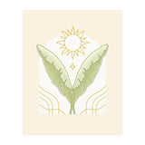 Follow The Sun (Print Only) thumbnail