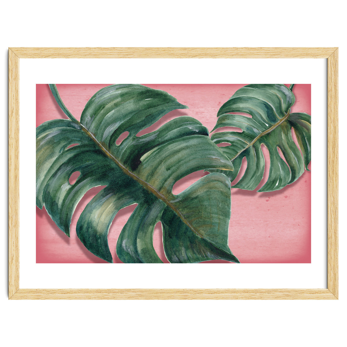 Monstera Leaf