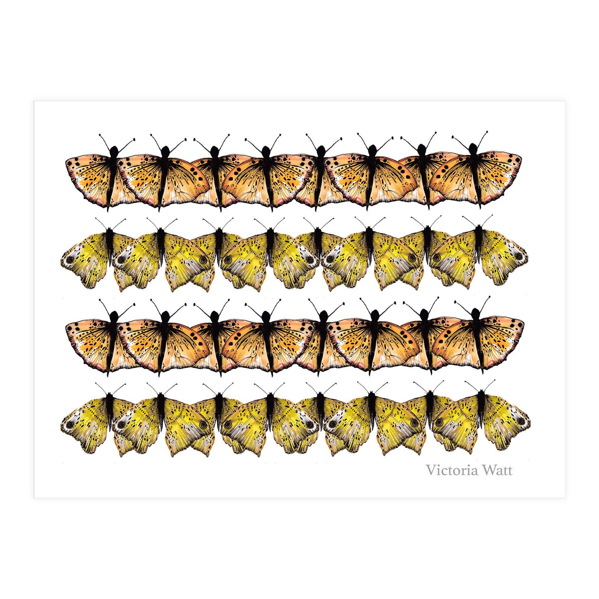 Butterfly Dance (Print Only)