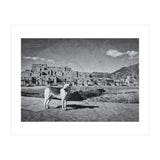 Taos (Print Only) thumbnail