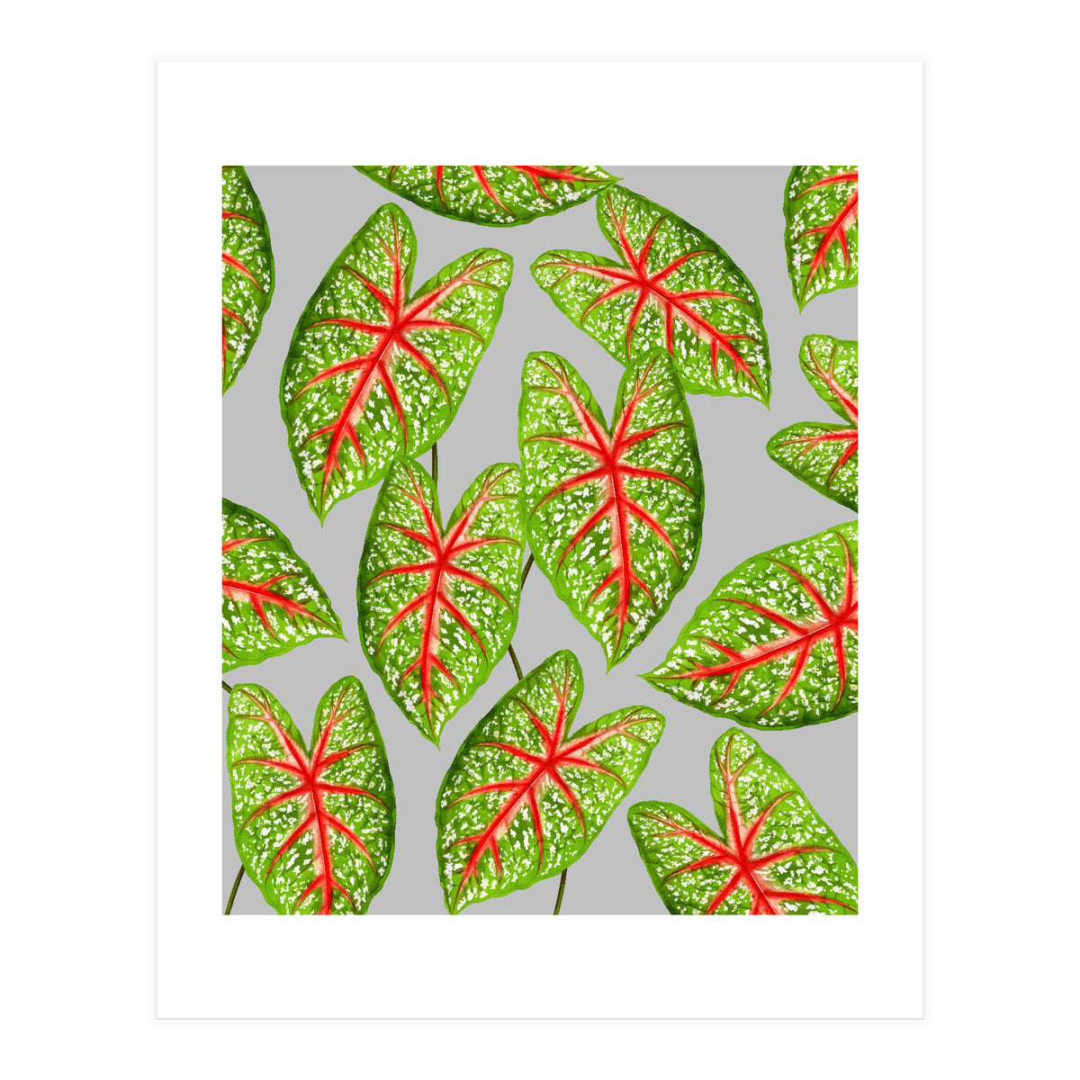 Expression Of Peace (Print Only)